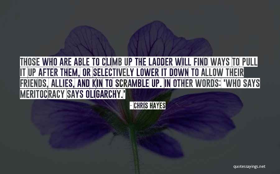 Meritocracy Quotes By Chris Hayes Meritocracy Quotes By Chris Hayes