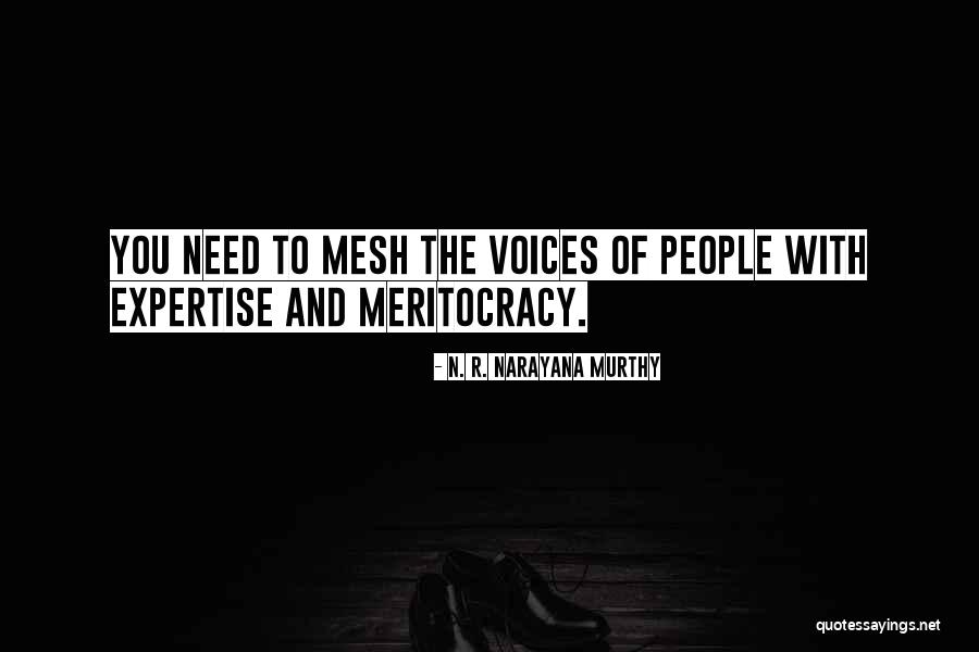 Meritocracy Quotes By N. R. Narayana Murthy Meritocracy Quotes By N. R. Narayana Murthy