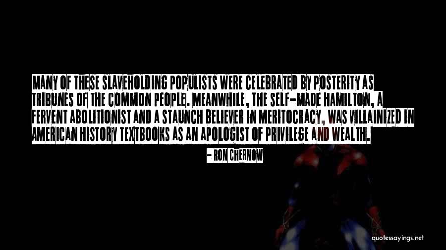 Meritocracy Quotes By Ron Chernow Meritocracy Quotes By Ron Chernow