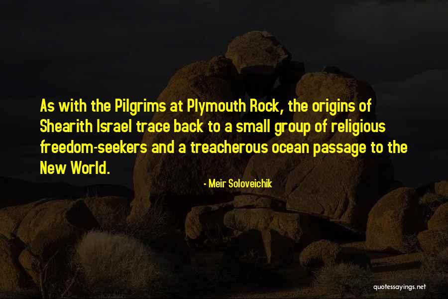 Meritocratic Individualism Quotes By Meir Soloveichik Meritocratic Individualism Quotes By Meir Soloveichik