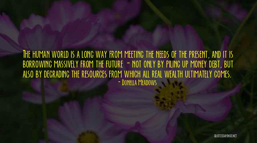 Merktekens Quotes By Donella Meadows Merktekens Quotes By Donella Meadows