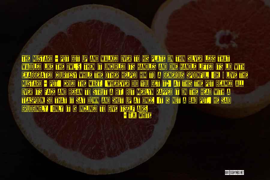 Merlyn Quotes By T.H. White Merlyn Quotes By T.H. White
