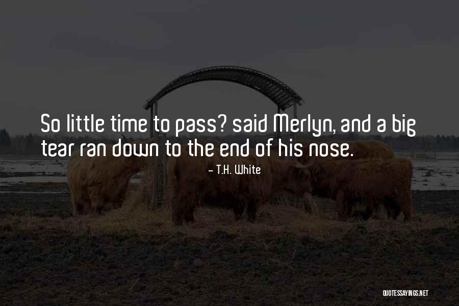Merlyn Quotes By T.H. White Merlyn Quotes By T.H. White