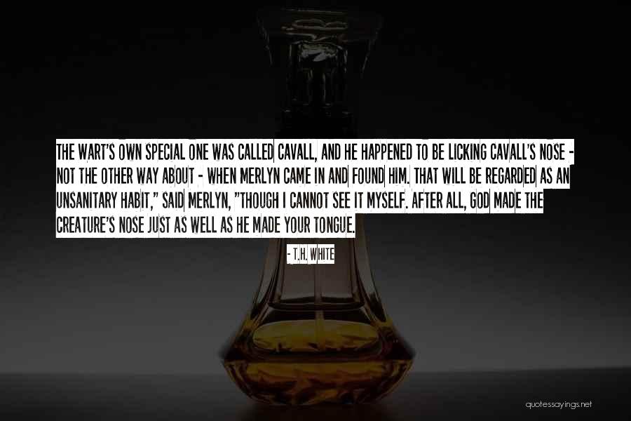 Merlyn Quotes By T.H. White Merlyn Quotes By T.H. White