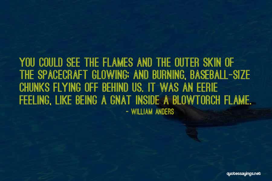 Merminia Quotes By William Anders Merminia Quotes By William Anders