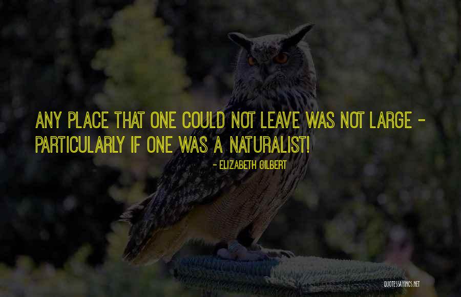Merotto Colbelo Quotes By Elizabeth Gilbert Merotto Colbelo Quotes By Elizabeth Gilbert