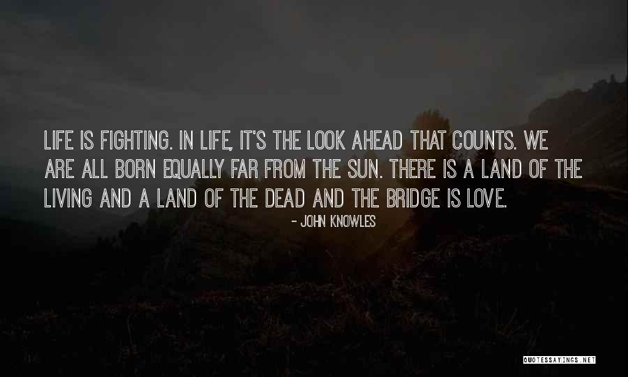 Merovingians Physical Traits Quotes By John Knowles Merovingians Physical Traits Quotes By John Knowles