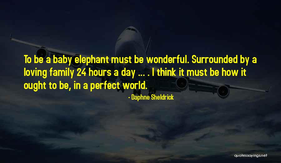 Merret Cat Quotes By Daphne Sheldrick Merret Cat Quotes By Daphne Sheldrick