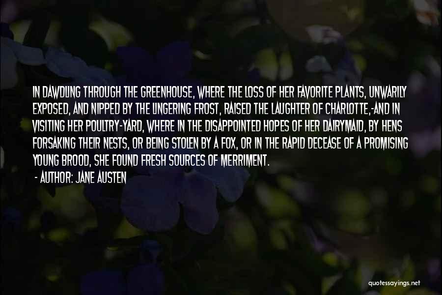Merriment Quotes By Jane Austen