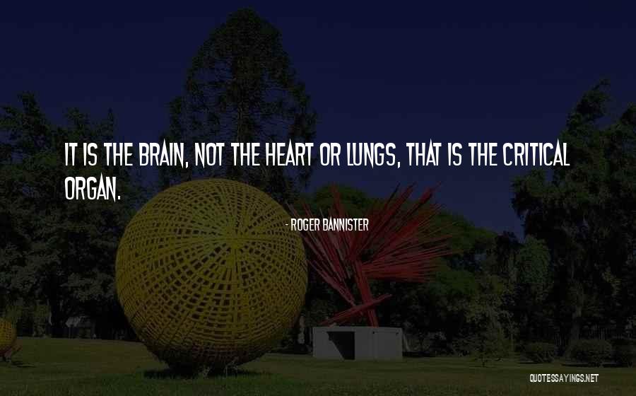 Merriments Quotes By Roger Bannister Merriments Quotes By Roger Bannister