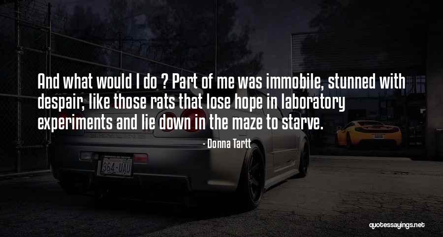 Merrion Square Quotes By Donna Tartt Merrion Square Quotes By Donna Tartt