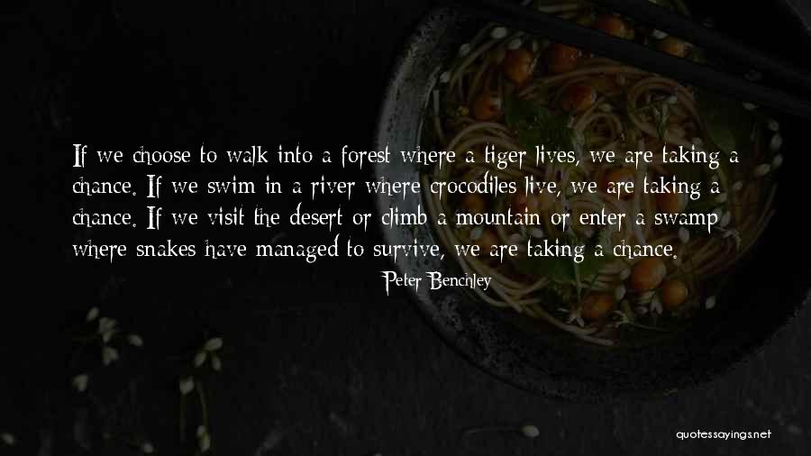 Merry Lynn Cavalier Quotes By Peter Benchley Merry Lynn Cavalier Quotes By Peter Benchley
