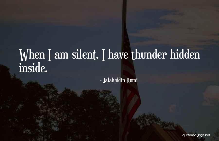 Mertal Quotes By Jalaluddin Rumi Mertal Quotes By Jalaluddin Rumi