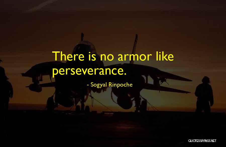 Mertcan Bahar Quotes By Sogyal Rinpoche Mertcan Bahar Quotes By Sogyal Rinpoche