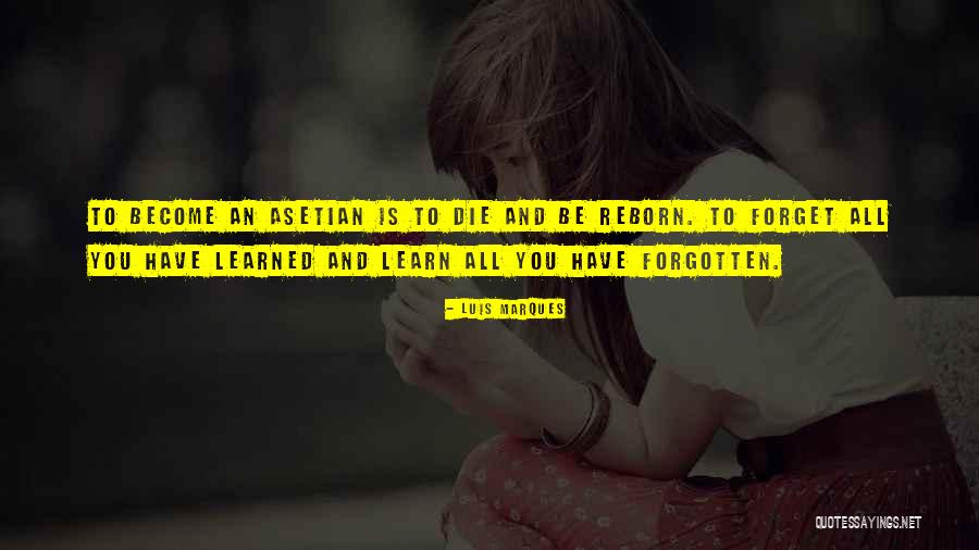 Mervat Mansour Quotes By Luis Marques Mervat Mansour Quotes By Luis Marques