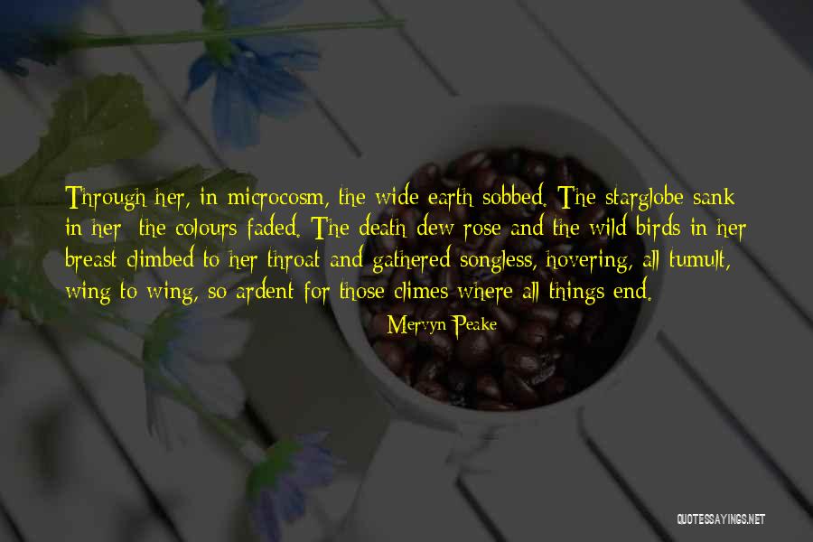 Mervyn Peake Quotes 1286095 Mervyn Peake Quotes 1286095