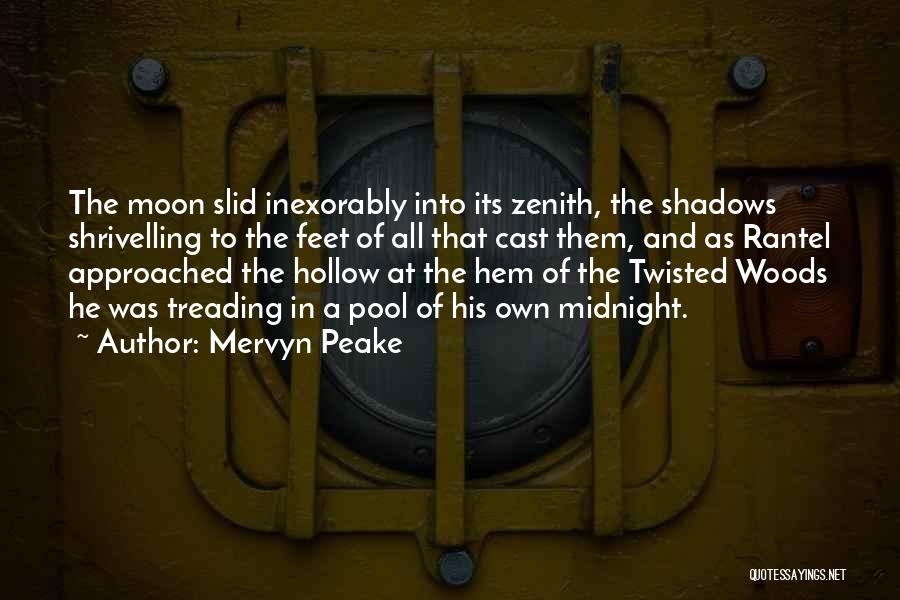 Mervyn Peake Quotes 2110726