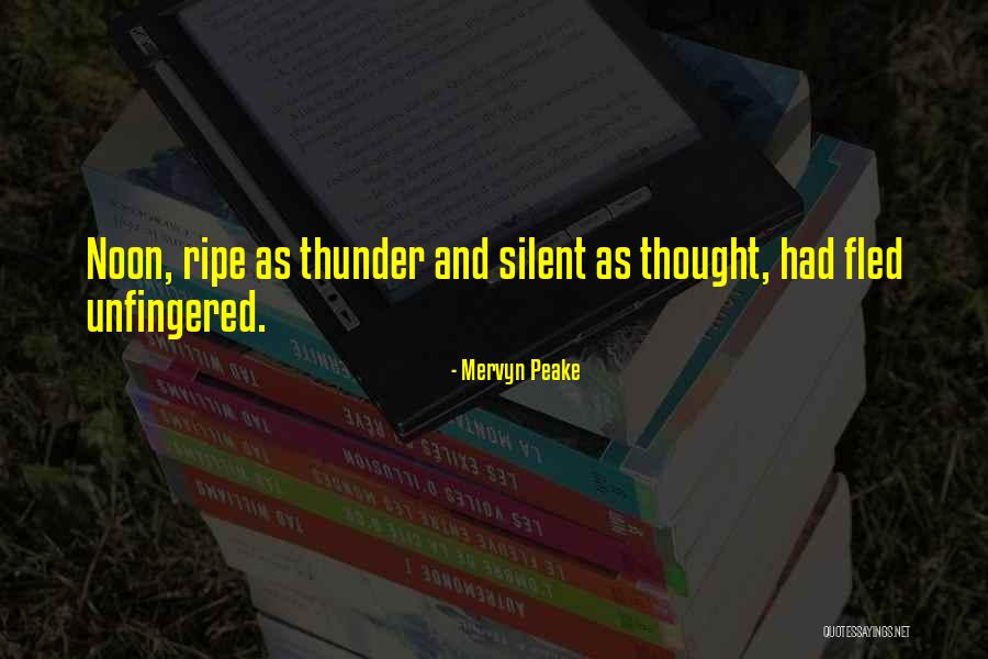 Mervyn Peake Quotes 230013