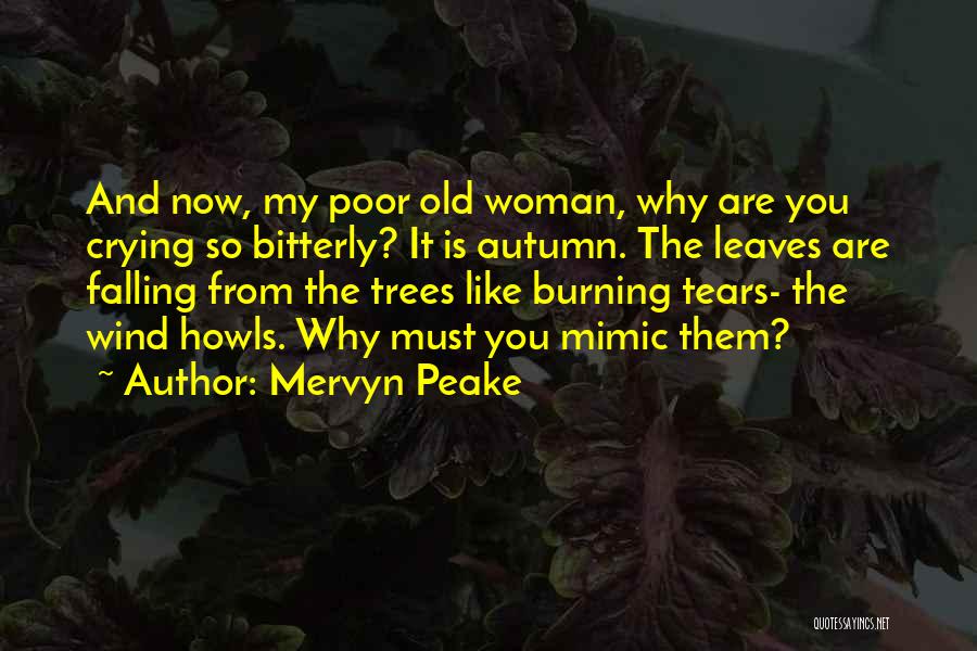 Mervyn Peake Quotes 272773