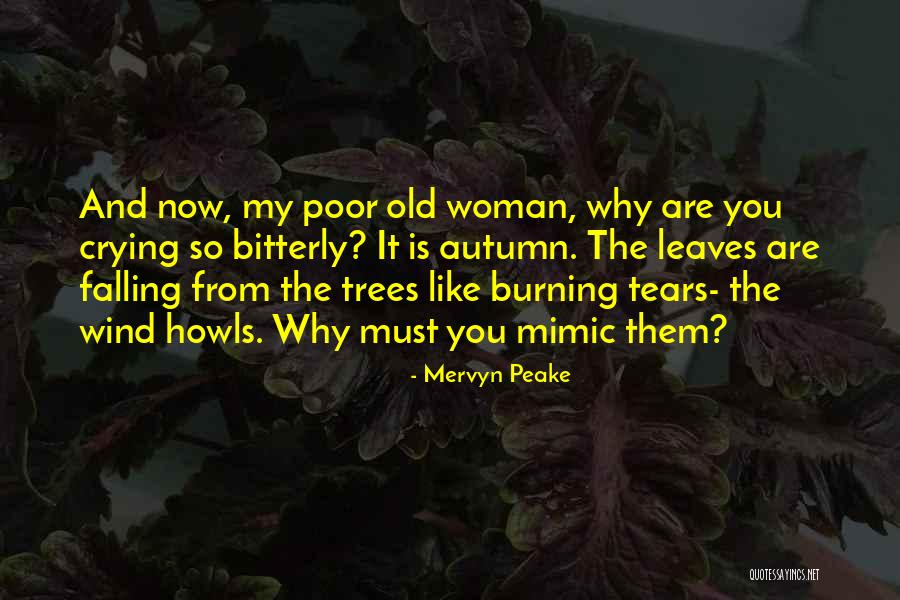 Mervyn Peake Quotes 272773