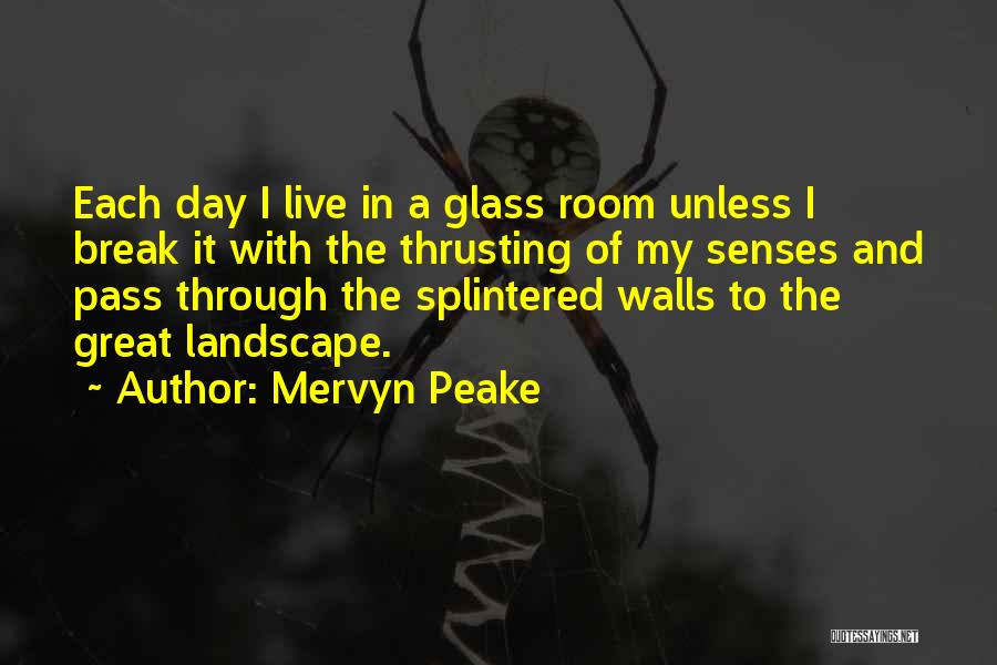 Mervyn Peake Quotes 287357