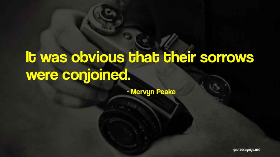Mervyn Peake Quotes 297009 Mervyn Peake Quotes 297009