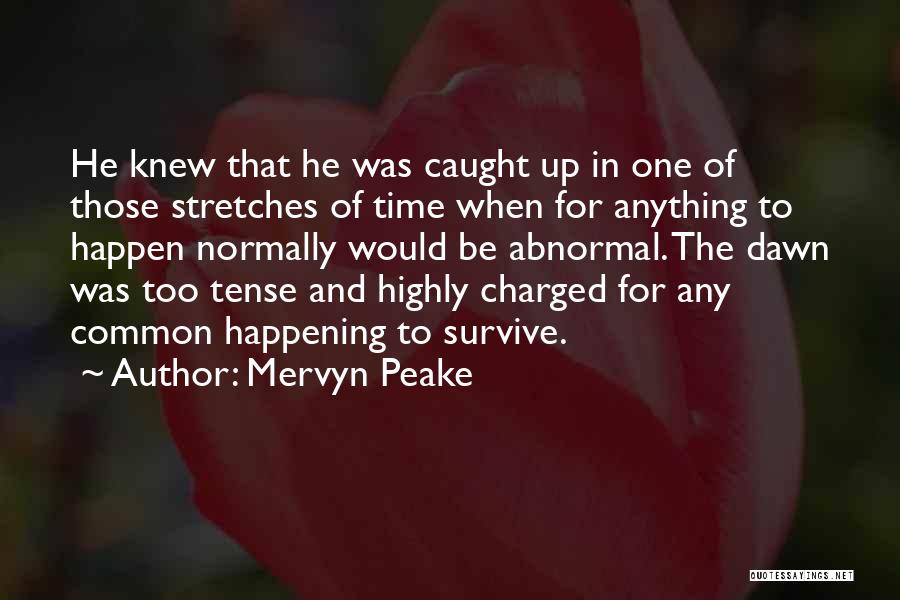 Mervyn Peake Quotes 472222