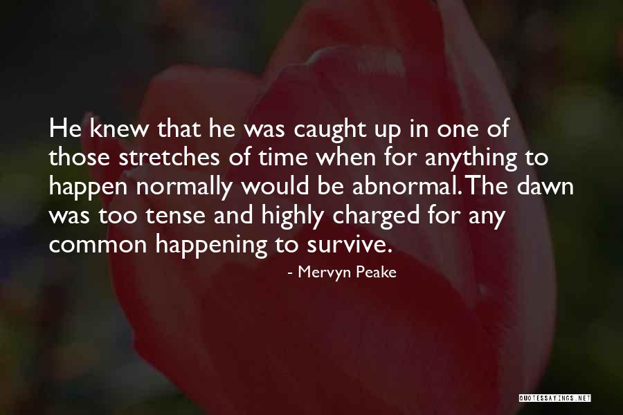 Mervyn Peake Quotes 472222 Mervyn Peake Quotes 472222
