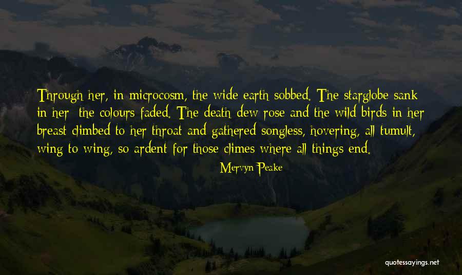 Mervyn Quotes By Mervyn Peake Mervyn Quotes By Mervyn Peake