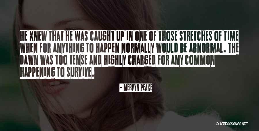 Mervyn Quotes By Mervyn Peake Mervyn Quotes By Mervyn Peake