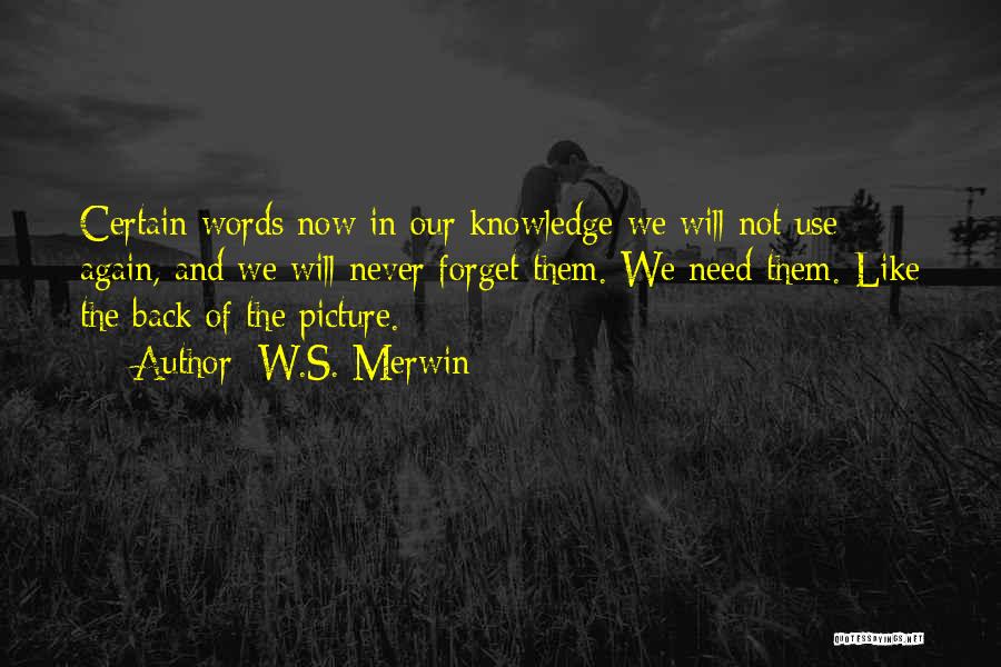 Merwin Quotes By W.S. Merwin