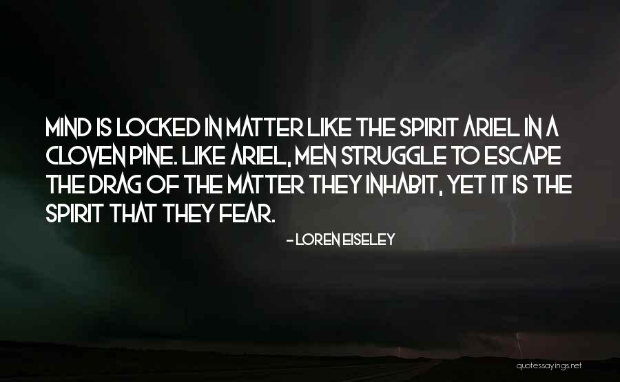Meryem Can Quotes By Loren Eiseley Meryem Can Quotes By Loren Eiseley