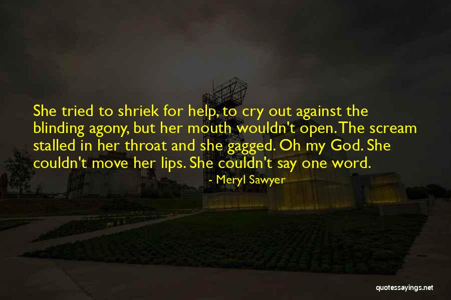 Meryl Sawyer Quotes 1662481