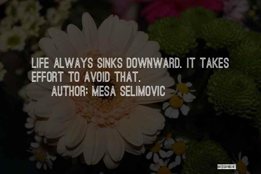 Mesa Selimovic Quotes 1453155