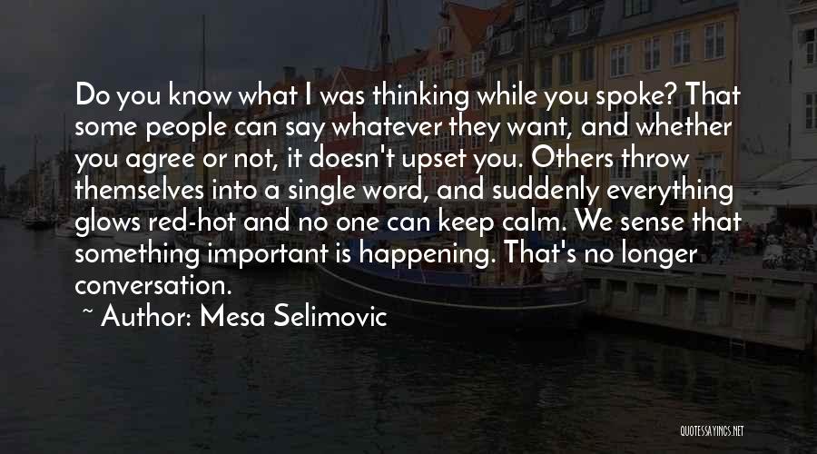 Mesa Selimovic Quotes 1998131