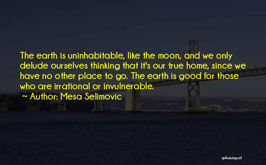 Mesa Selimovic Quotes 2146328