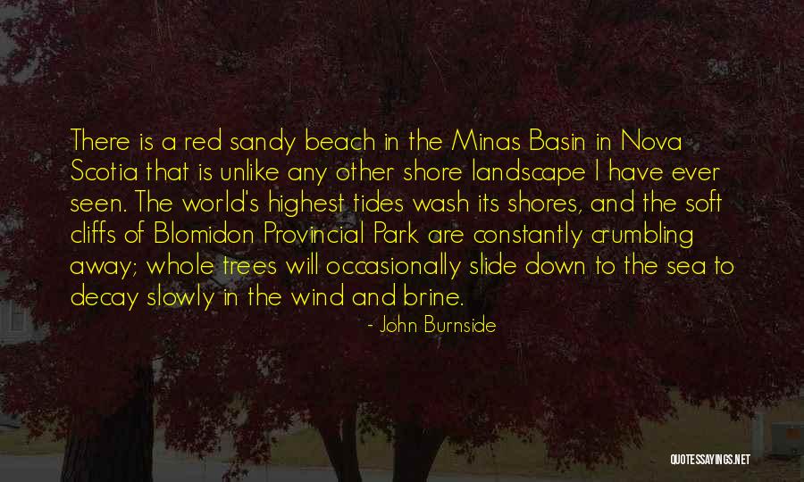 Mesajlari Quotes By John Burnside Mesajlari Quotes By John Burnside