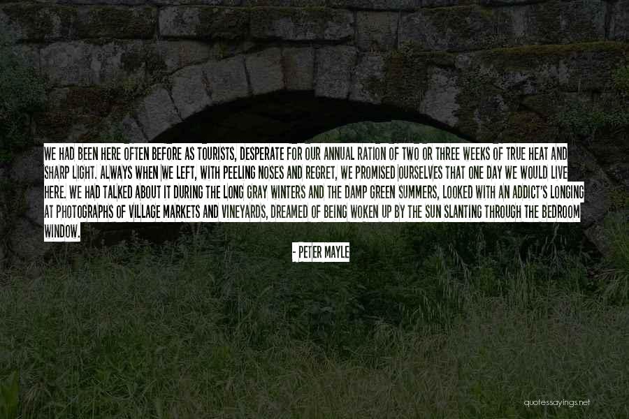 Mesale Quotes By Peter Mayle Mesale Quotes By Peter Mayle