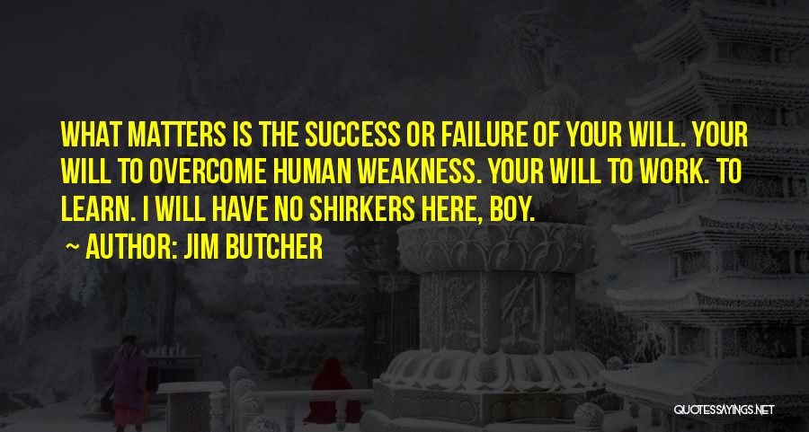 Mesbeh Quotes By Jim Butcher