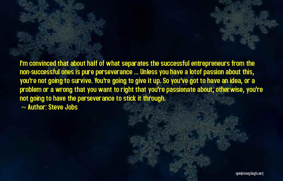 Mescalin Quotes By Steve Jobs