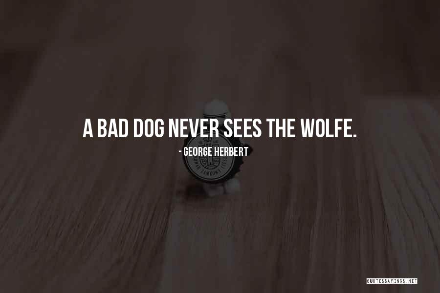 Mesedoboz Quotes By George Herbert Mesedoboz Quotes By George Herbert