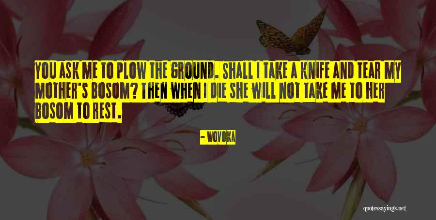 Mesedoboz Quotes By Wovoka Mesedoboz Quotes By Wovoka