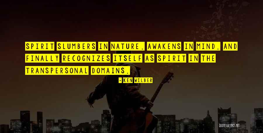 Mesedoll Quotes By Ken Wilber Mesedoll Quotes By Ken Wilber