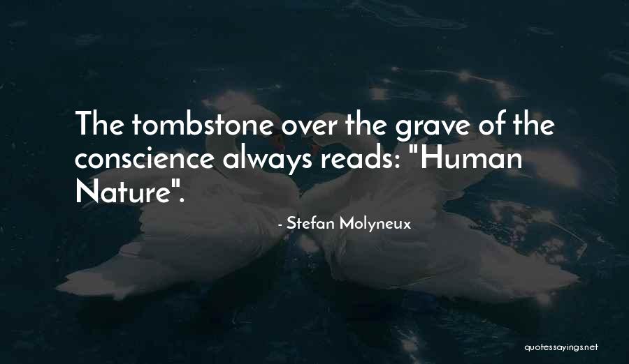 Meseguer Alcaniz Quotes By Stefan Molyneux Meseguer Alcaniz Quotes By Stefan Molyneux