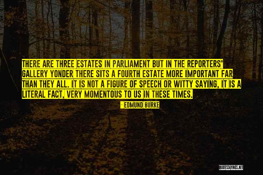 Meserve Farm Quotes By Edmund Burke Meserve Farm Quotes By Edmund Burke