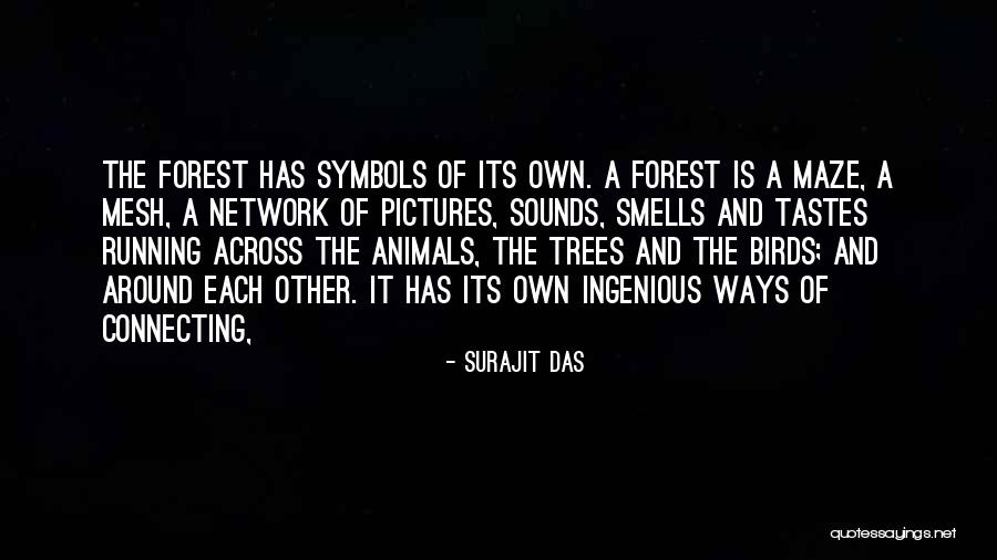 Mesh Quotes By Surajit Das Mesh Quotes By Surajit Das
