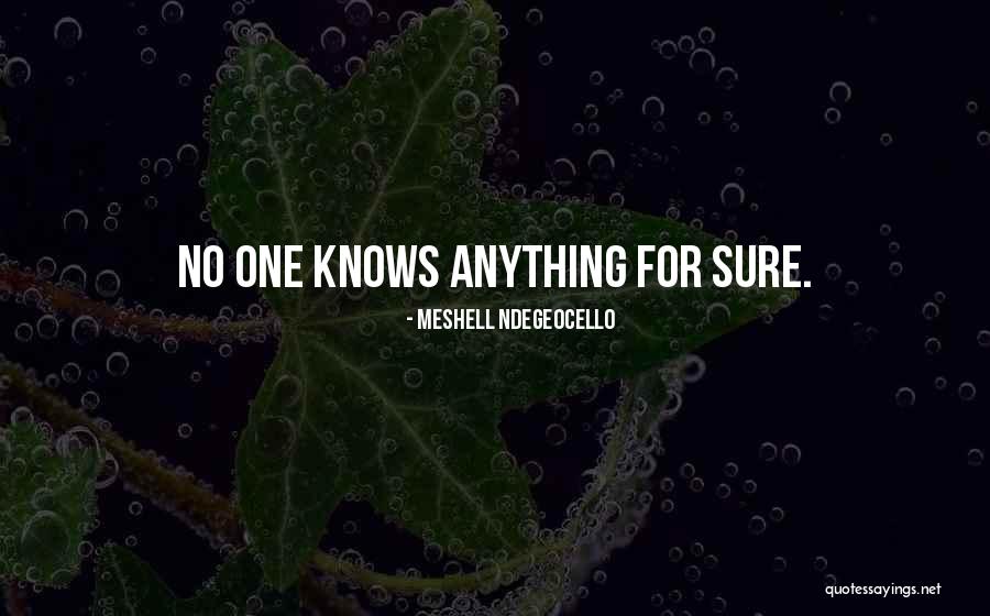 Meshell Quotes By Meshell Ndegeocello Meshell Quotes By Meshell Ndegeocello