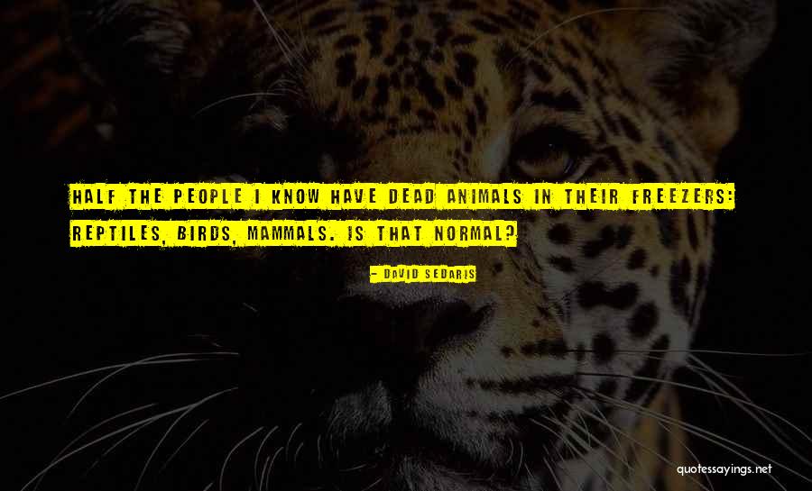 Meshica Culture Quotes By David Sedaris