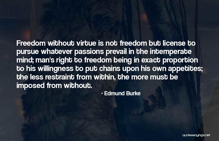 Meshlike Curtain Quotes By Edmund Burke Meshlike Curtain Quotes By Edmund Burke
