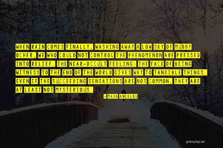 Mesiano Quotes By Maya Angelou Mesiano Quotes By Maya Angelou